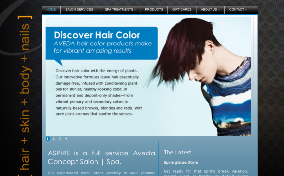 Aspire Salon Spa web design by WEbii