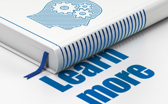 SEO education and website techniques