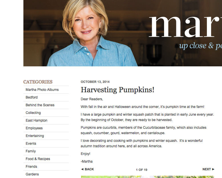 Example blog from Martha Stewart