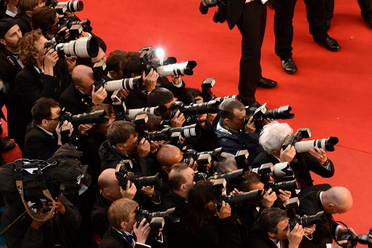 paparazzi for websites