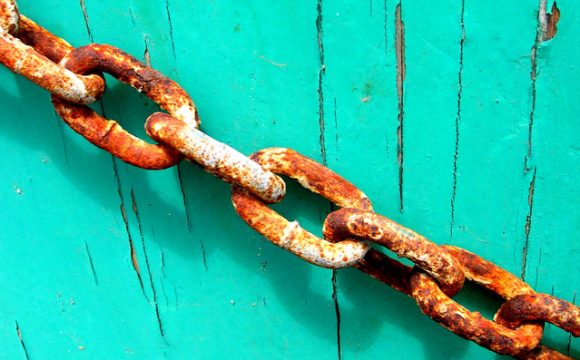 link building