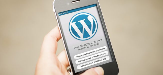 wordpress app user