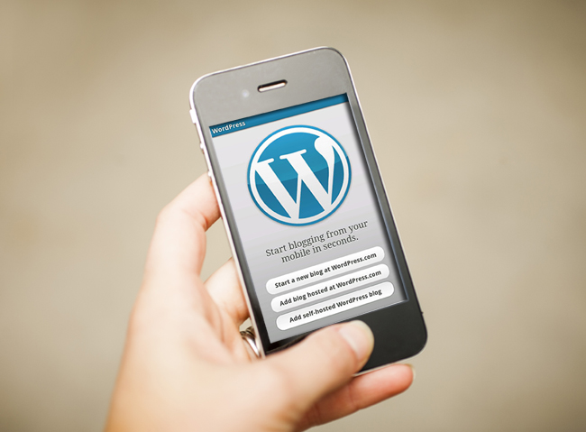 wordpress app user