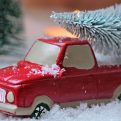 Miniature Truck with Tree