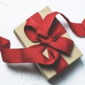 Gift box and red ribbon