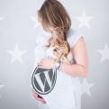 expecting wordpress upgrades