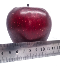 apple and ruler
