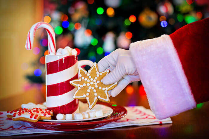 Santa with cookies