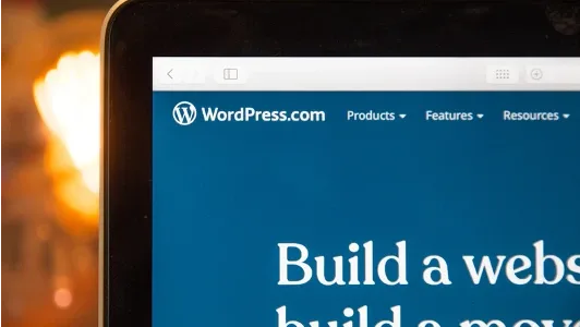 website builder example WordPress screen