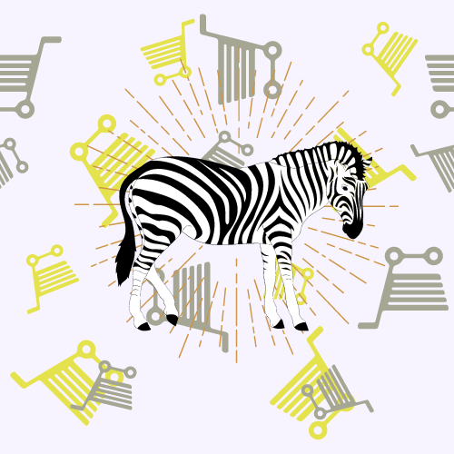 Zebra e-commerce customization concept
