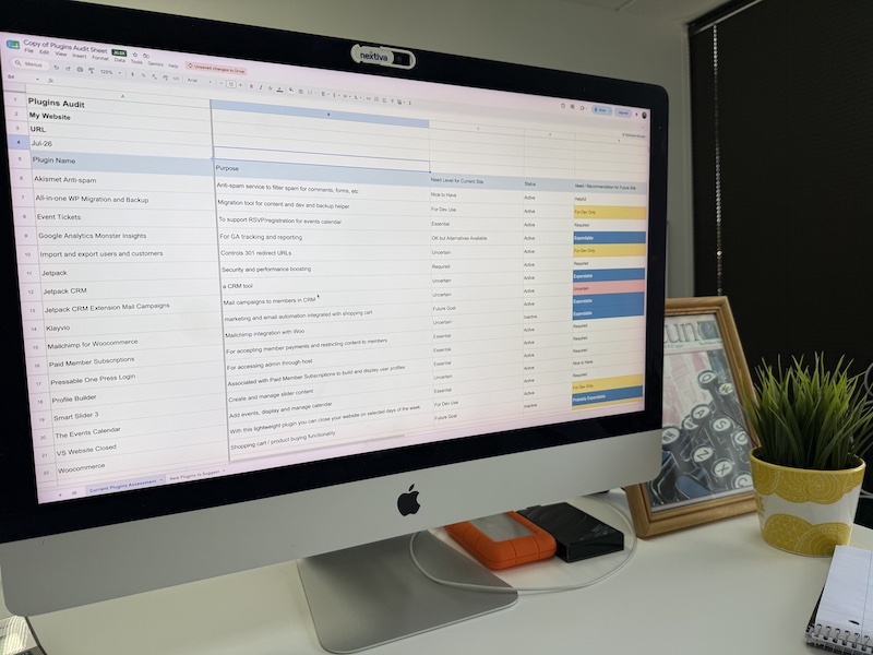 Image of a computer monitor with a plugin audit spreadsheet