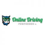 Online Driving Professor